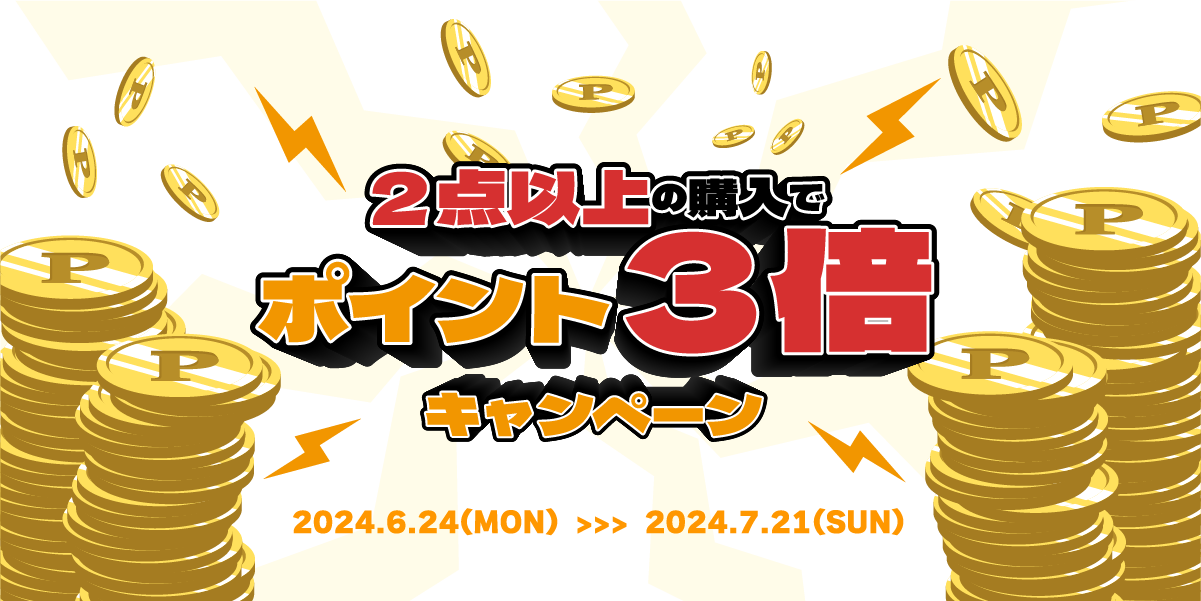 2点以上購入でポイント3倍キャンペーン